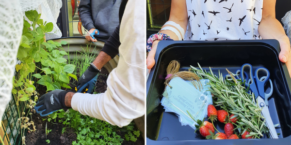 Garden group - first harvest